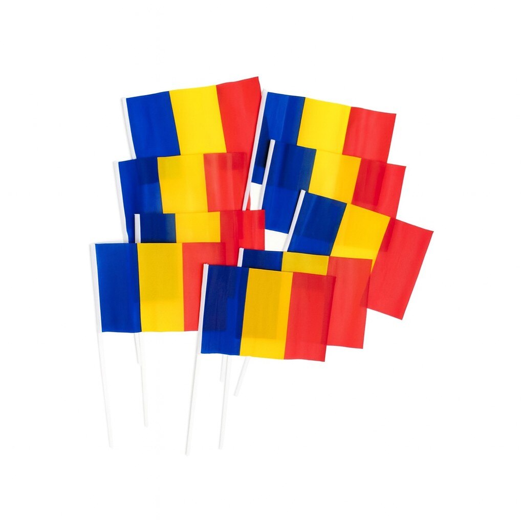 Set 12 Steaguri Mână Tricolor