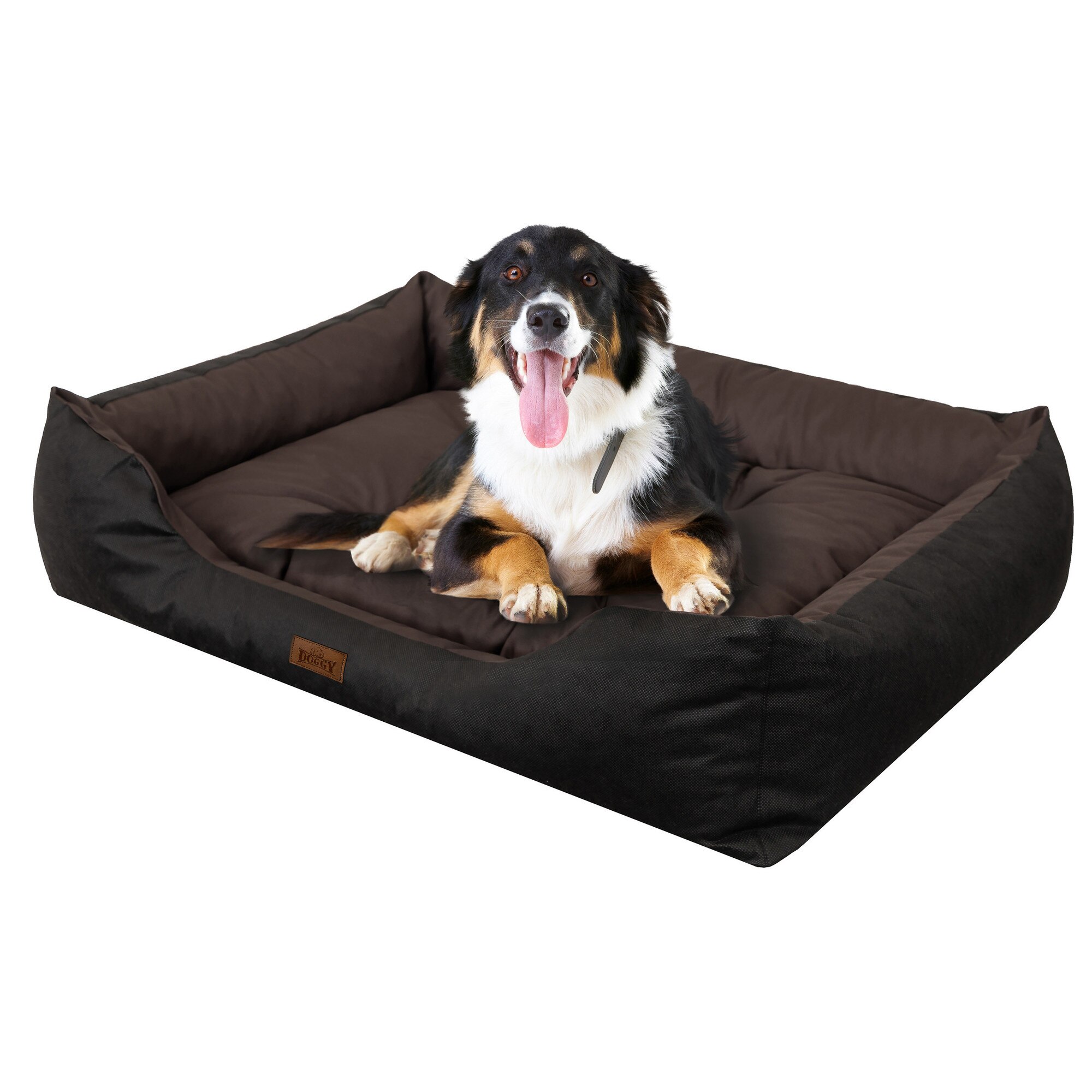 Pat Doggy Puffy Oxford