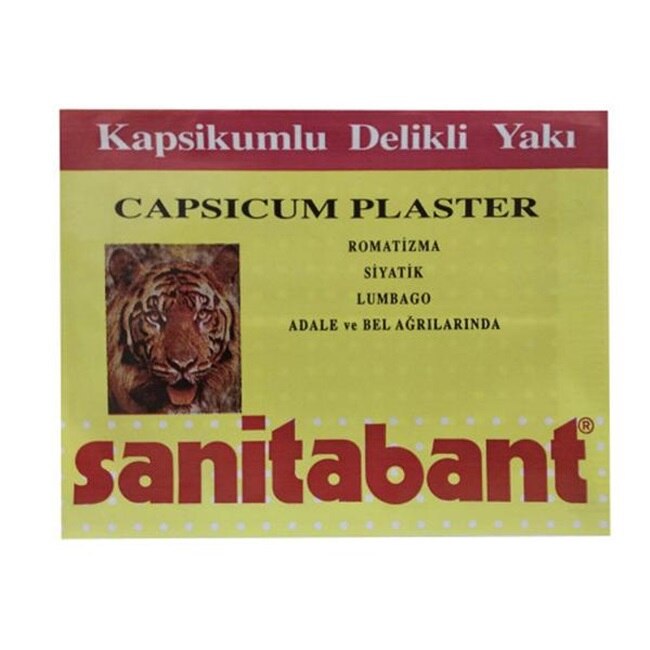 Plasture Antireumatic Sanitabant