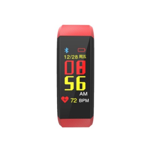 FitTronic BR115 Plus
