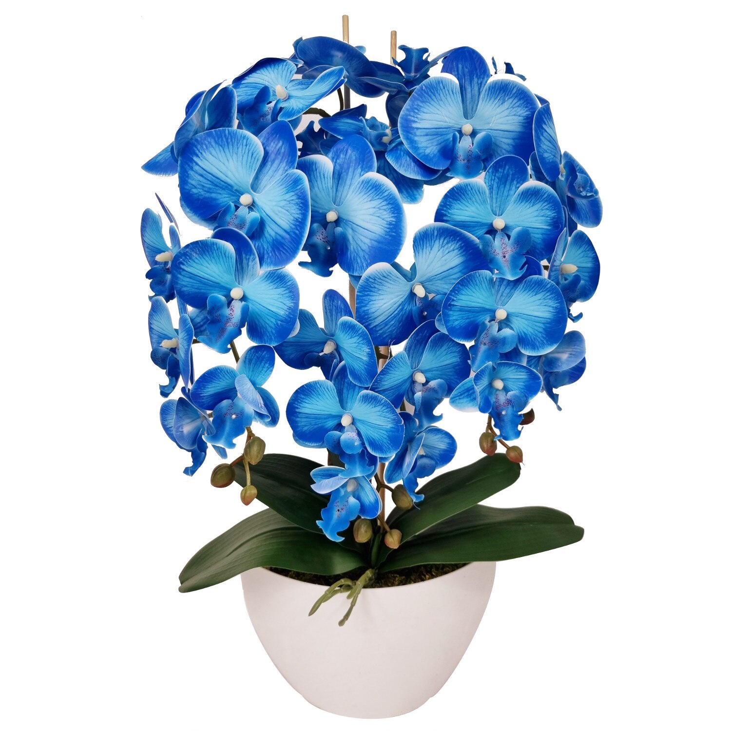 Orhidee artificială Damich albastru 60 cm