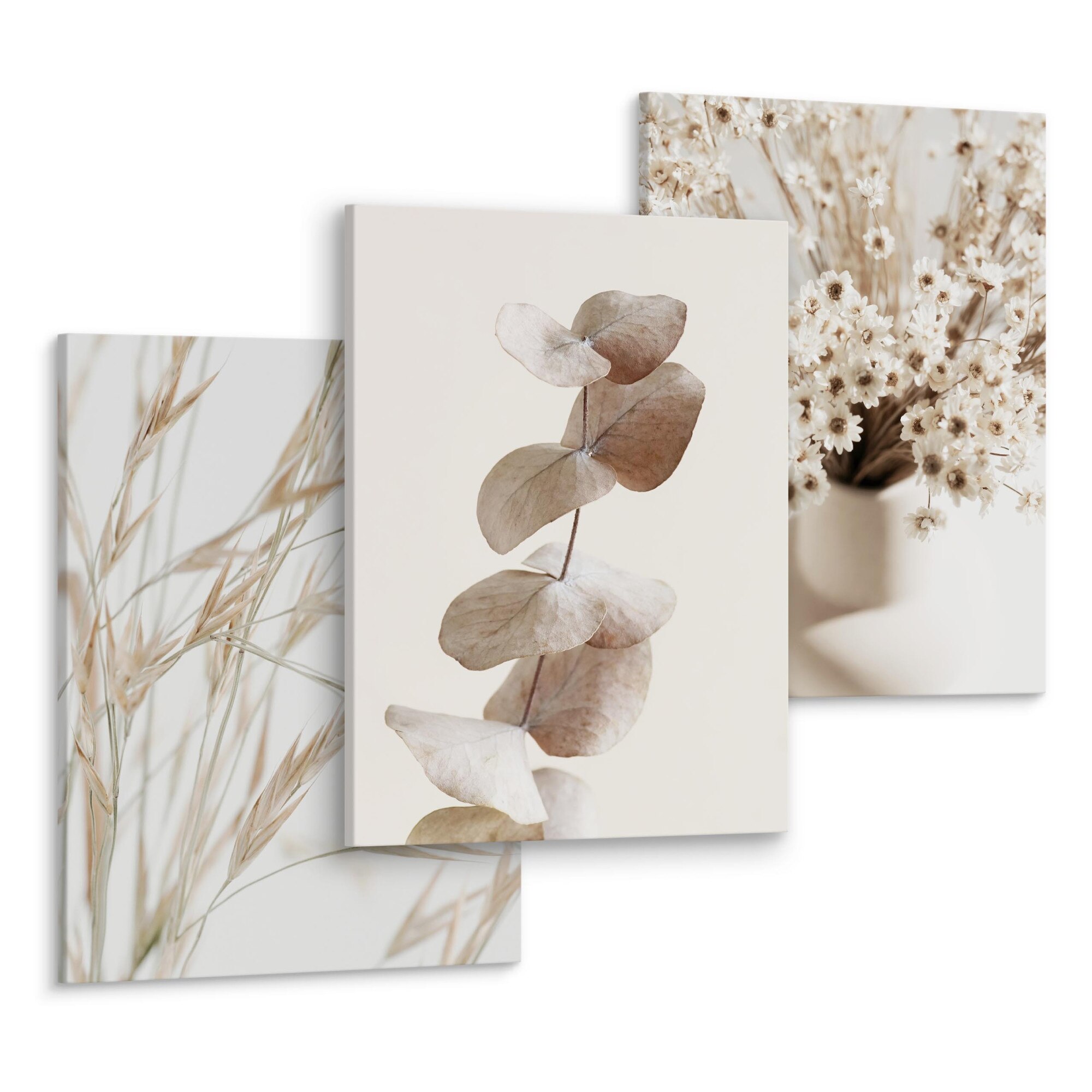 Set 3 Tablouri Plante boho Muralo