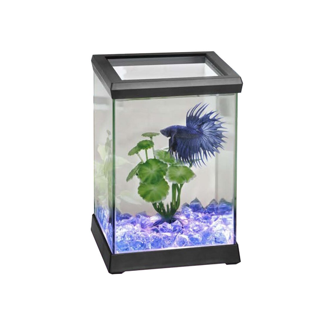 Acvariu Betta Space 4.95L Boyu