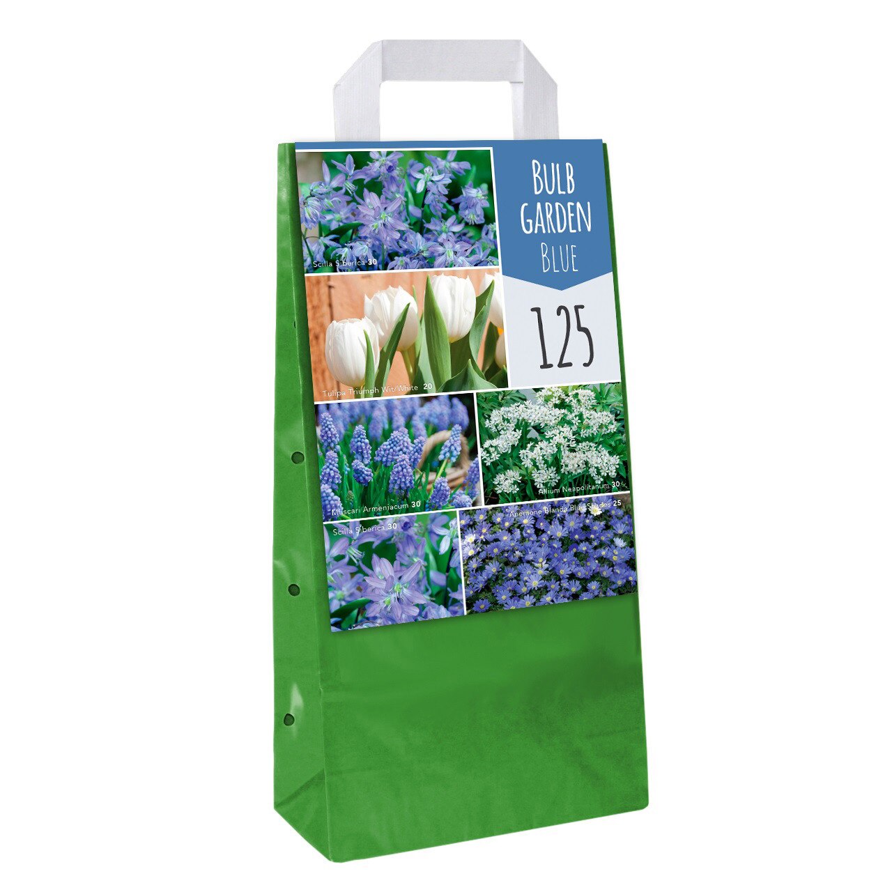 Bulbi Garden Blue Mix