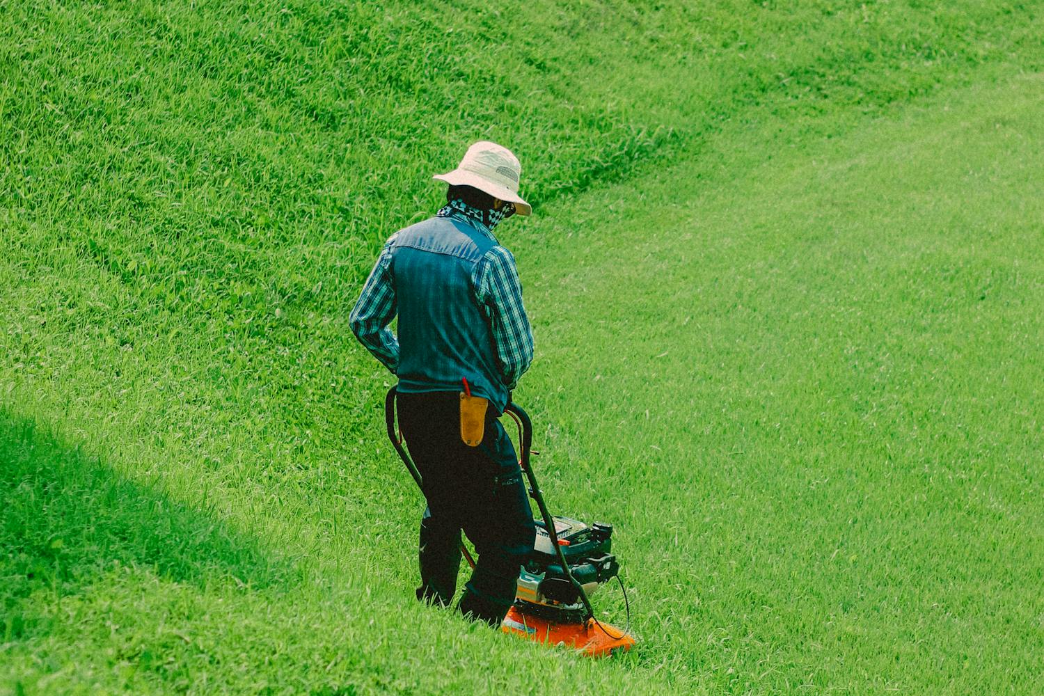 Cel mai bun robot de tuns iarba: Ghid complet pentru a alege Cel mai bun robot de tuns iarba