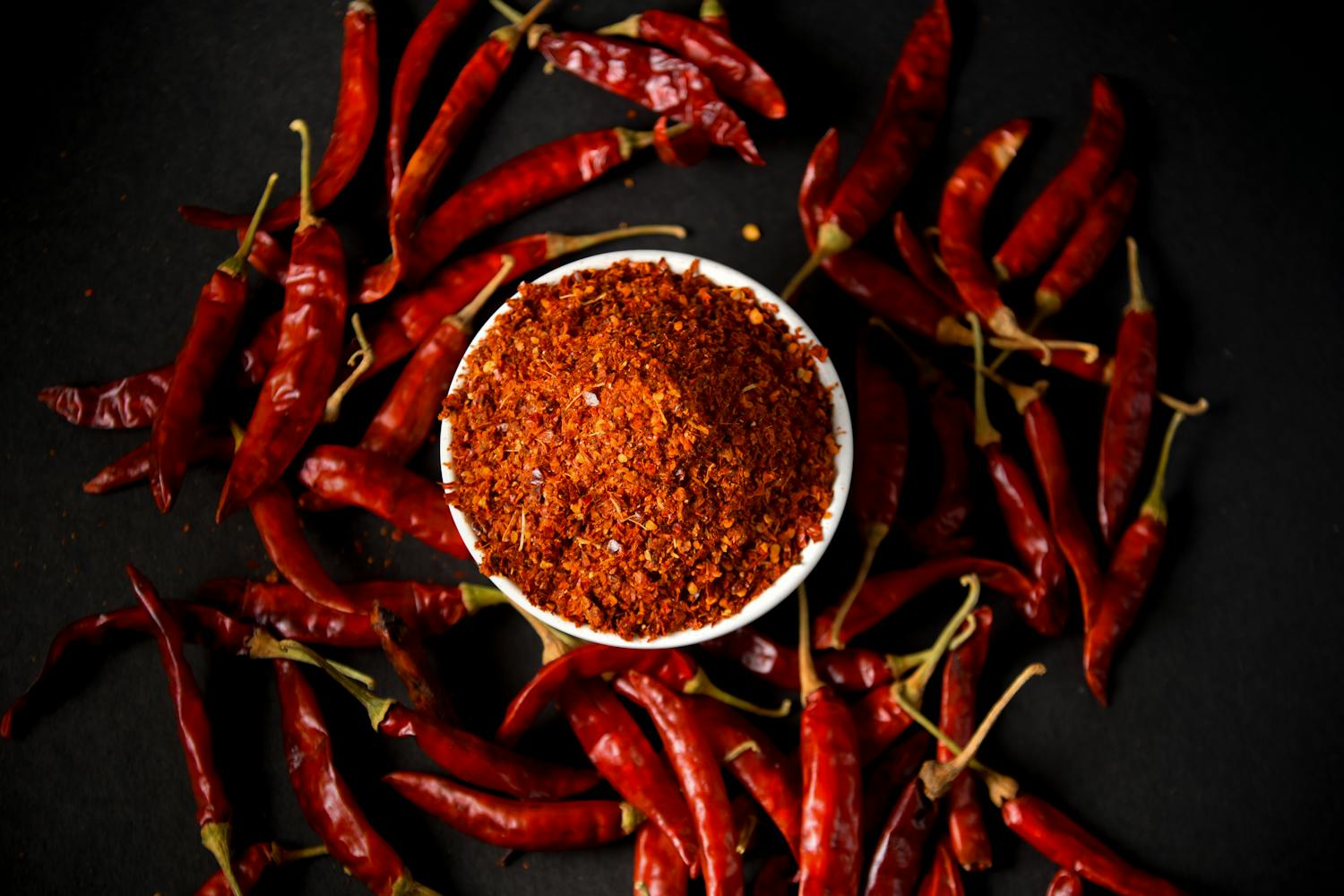 Cea mai bună hrană uscată pentru câini în 2026