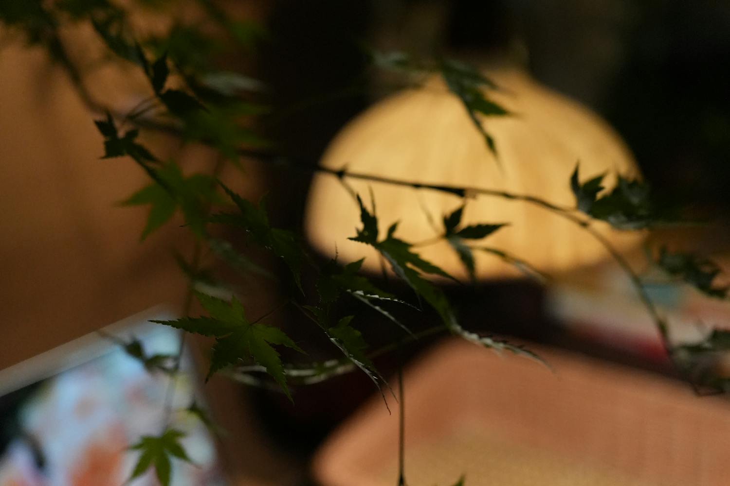 Cel mai bun laptop ultraportabil: Ghid complet pentru alegerea perfectă în 2025