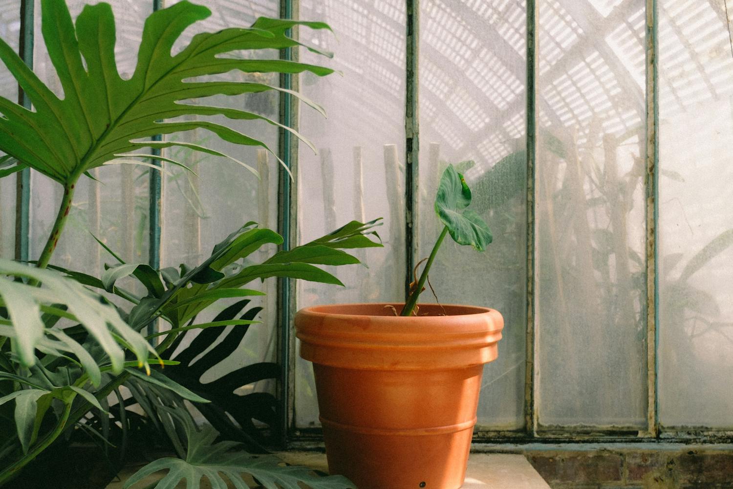 Cel mai bun solar de grădină în 2026