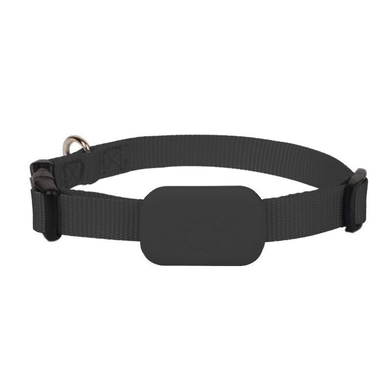 Zgarda GPS Stnqtsrv