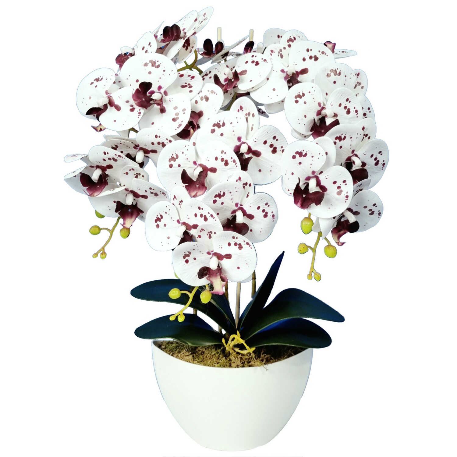 Orhidee artificială Damich alb-mov 60 cm