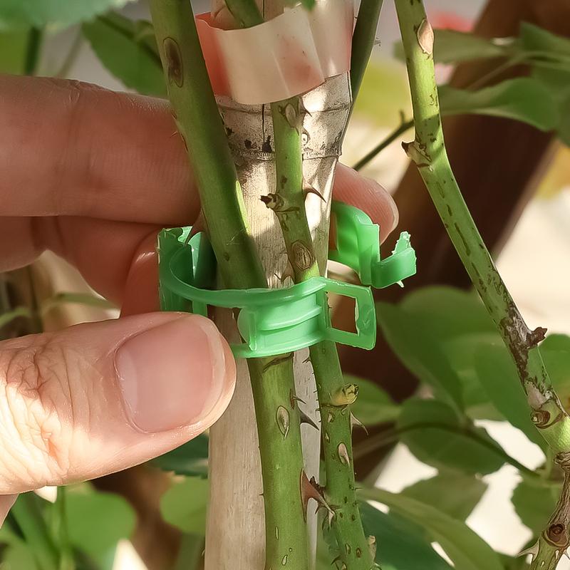 Clips Lastari Plante 100 Buc Verde ORIGINAL DEALS