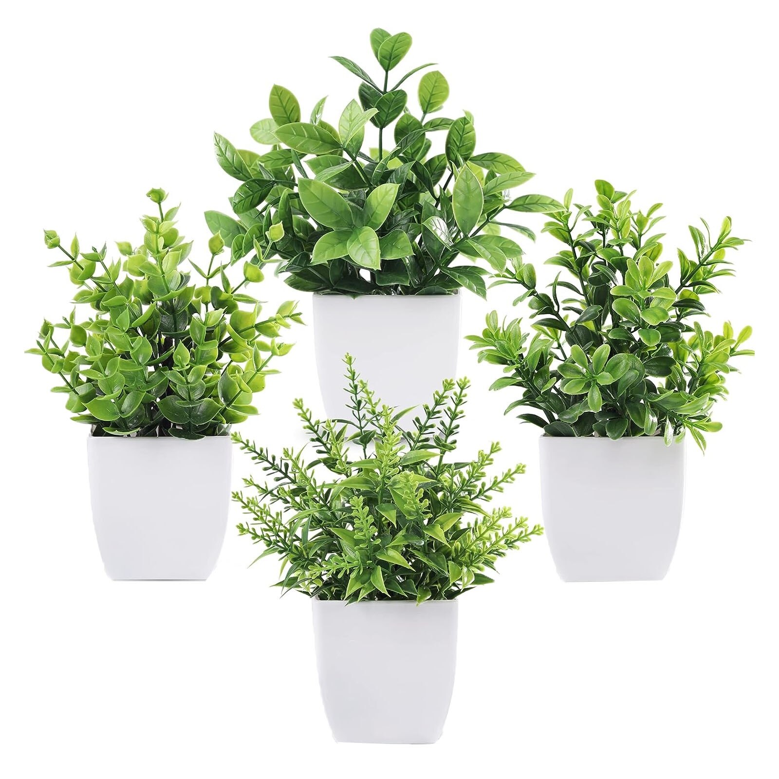 Plante SINBINTA 19 cm
