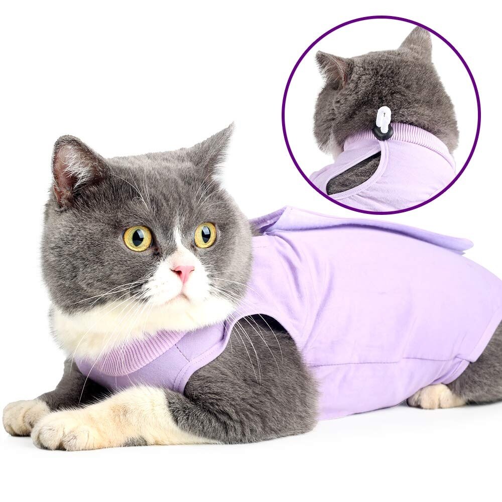 Costum recuperare Bztzhm Violet M