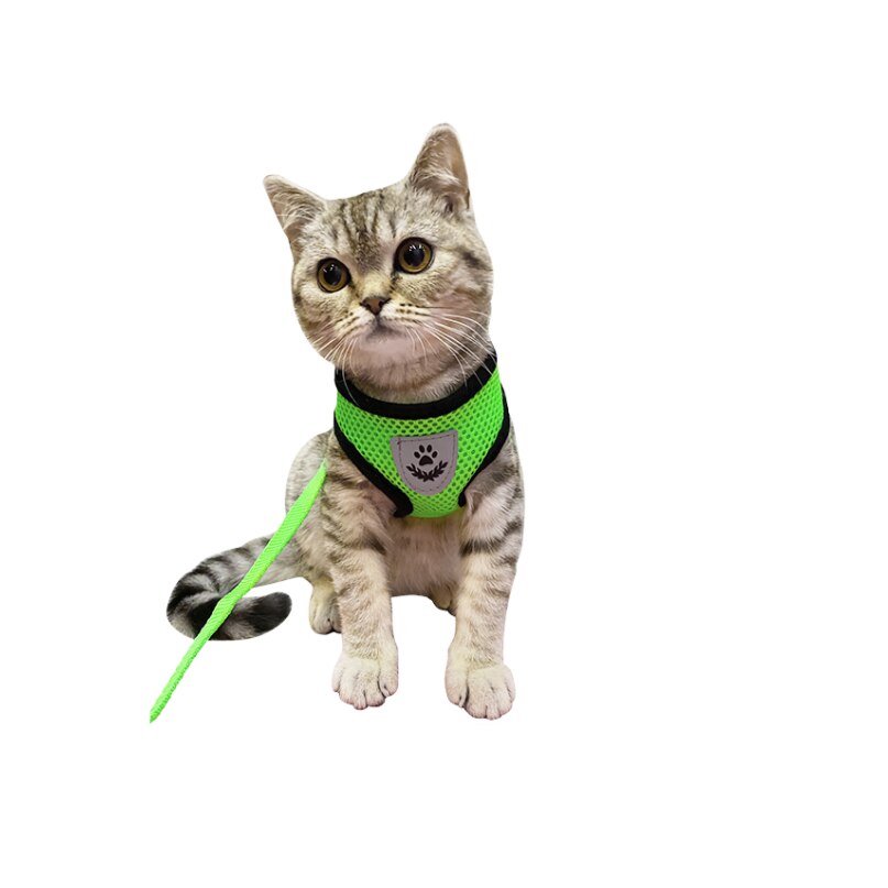 Set Ham si Lesa Fresh M Verde