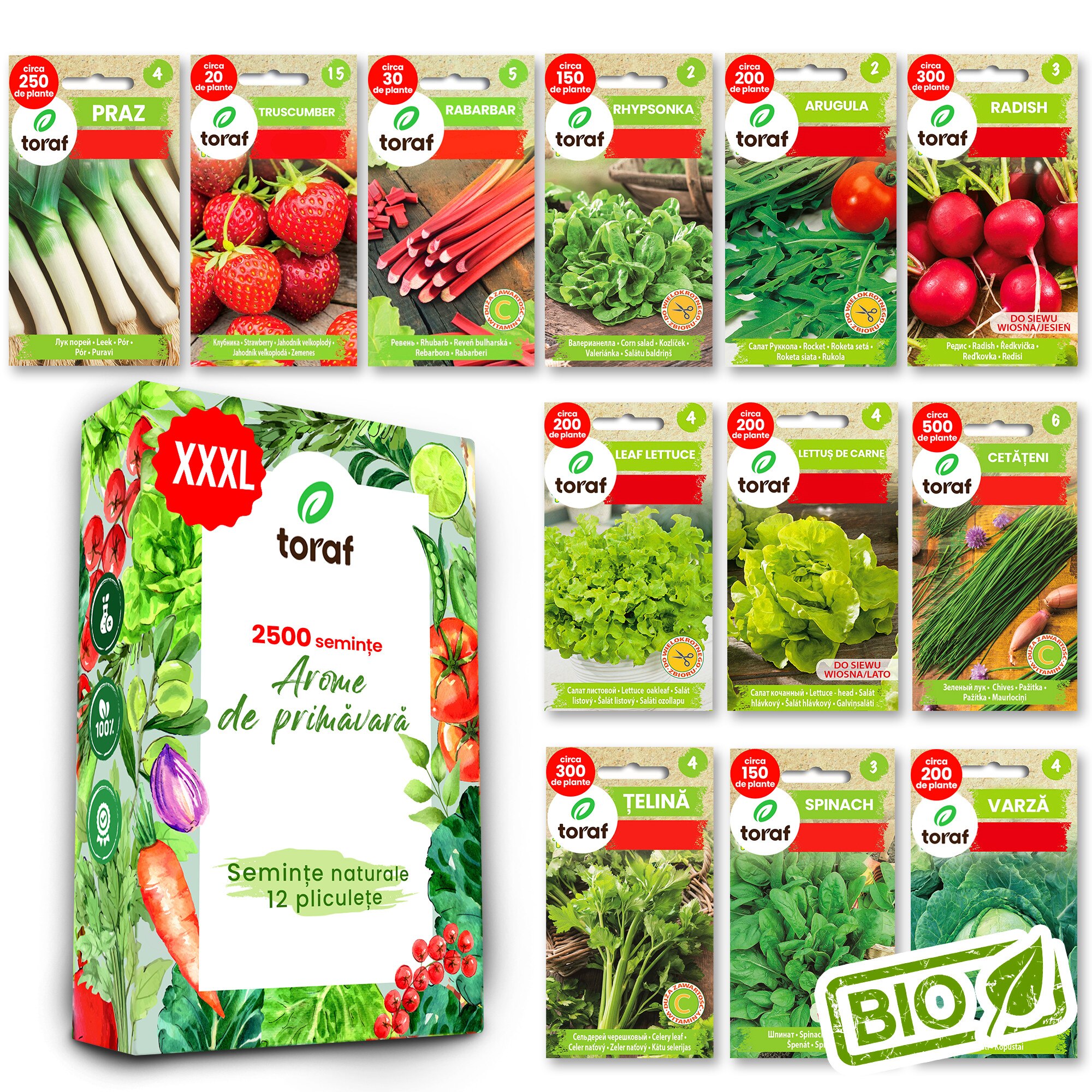 Set seminte TORAF 12 soiuri