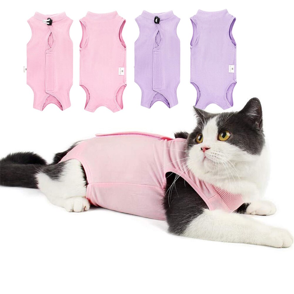 Costum recuperare wumeiwang Roz/Violet M
