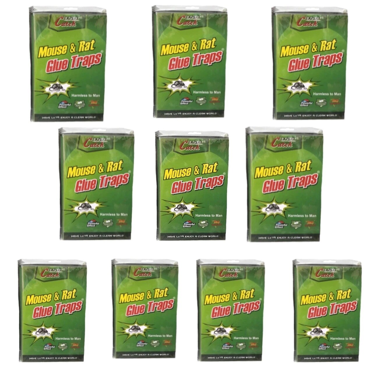 Set 10 capcane lipici pe carton