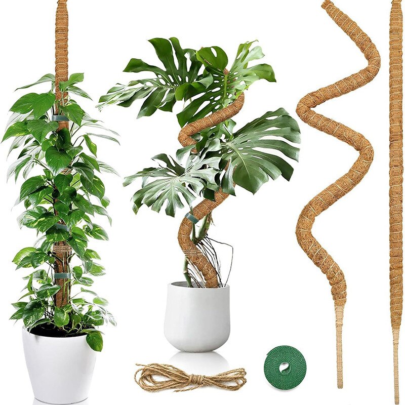 Suport catarator 100 cm cu stalpi muschi