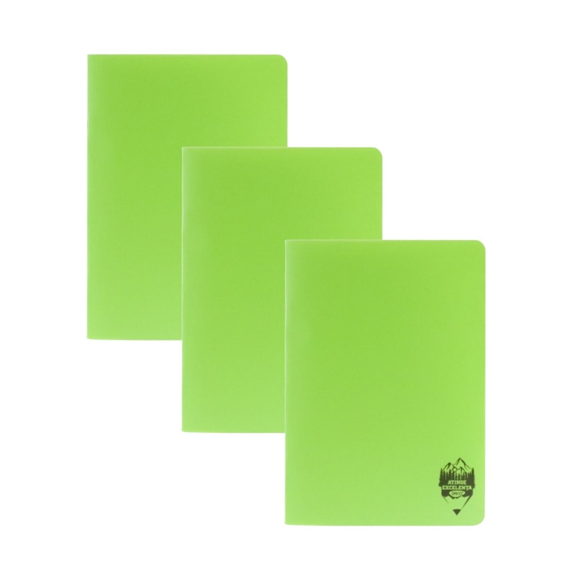 Set 3 Caiete Daco Tip 1 Verde